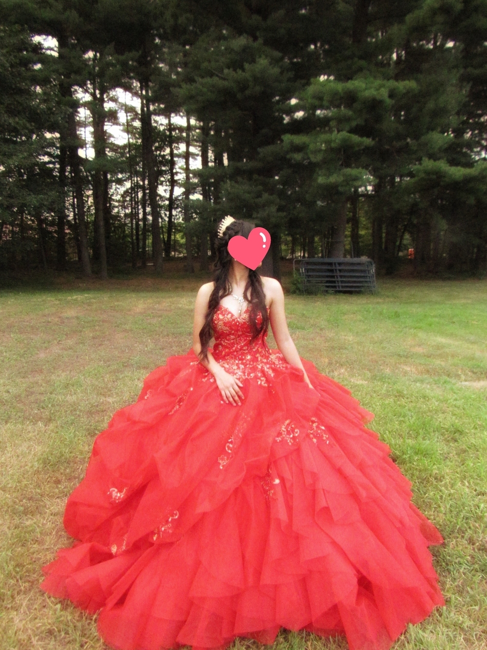 Quince Red Ball Gown with Embellished Bodice - Picture 4 of 5